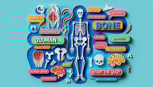 Quiz Gratis: Nombres de Huesos del Cuerpo Humano
