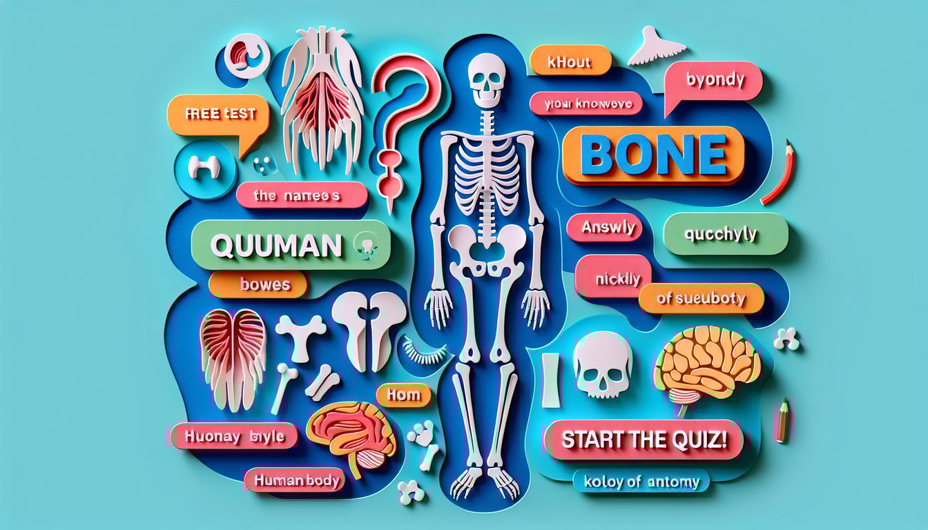 Esqueleto humano estilo papel recortado con nombres de huesos sobre fondo celeste para quiz de anatomia
